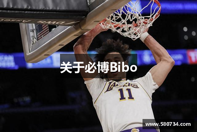 关于必博Bibo